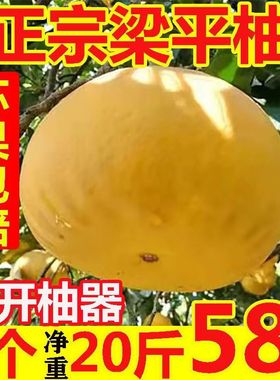 重庆土特产梁平柚 梁山柚 麻柚子平顶柚 当季新鲜水果现摘8个20斤