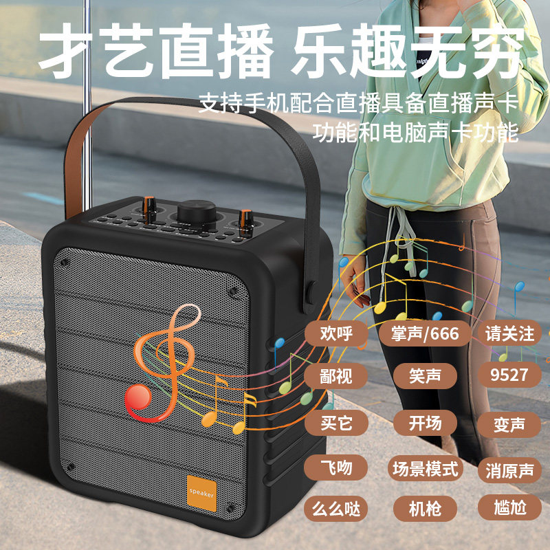 户外直播手提蓝牙音响带声卡特效消原音家用K歌大音量便携音箱设