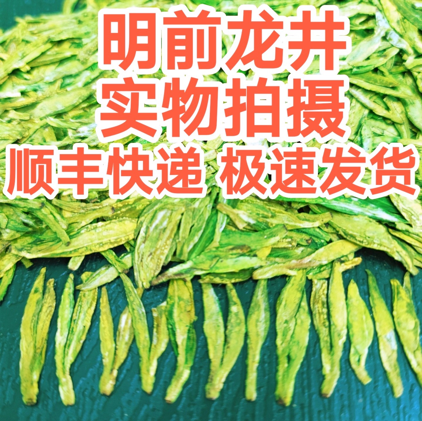 2025新龙井茶叶包邮发货 明前龙井杭州产区绿茶 送礼选礼盒装500g