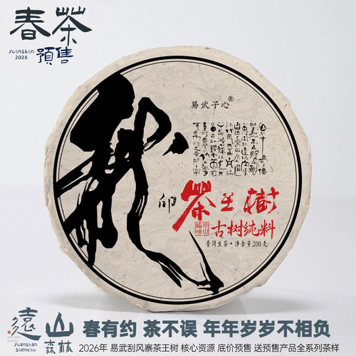 2026易武刮风寨茶王树头春茶预售
