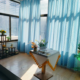 外贸清仓天蓝卡通印花窗帘客厅阳台儿童房宿舍透光不透人防猫抓