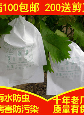 葡萄袋子专用雨水防虫白色