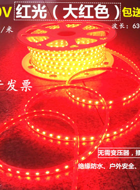LED软灯带220v高亮红色吊顶酒吧