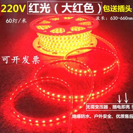 防水红光LED软灯带220V高亮红色5050贴片灯条吊顶酒吧KTV红光灯条