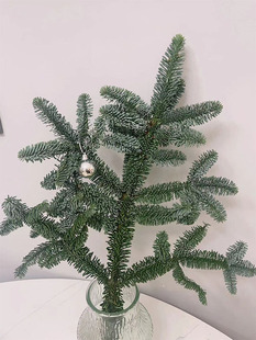 进口诺贝松鲜切天然松枝摆件圣诞树装饰挂件材料DIY手工花环配材