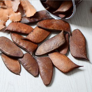 【音符豆】天然植物果实豆荚干花干果实组合储存摆设拍摄道具背景