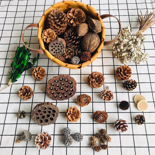 饰摆件干花拍摄道具圣诞松果手工画松果松塔 30个松果幼儿园装 包邮