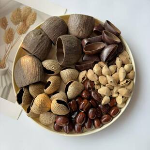 植物果壳材料diy手工包挂配件panji黑果风铃印尼进口小众冥想音疗