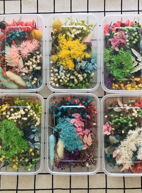永生花干花手工DIY材料压花相框幼儿园滴胶香薰蜡片贴画装饰藤圈