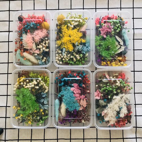 永生花干花手工DIY材料压花相框幼儿园滴胶香薰蜡片贴画装饰藤圈