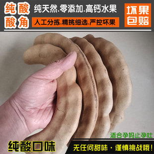 【纯酸味】云南特产酸角非甜酸角孕妇补钙止吐特酸水果零食品包邮