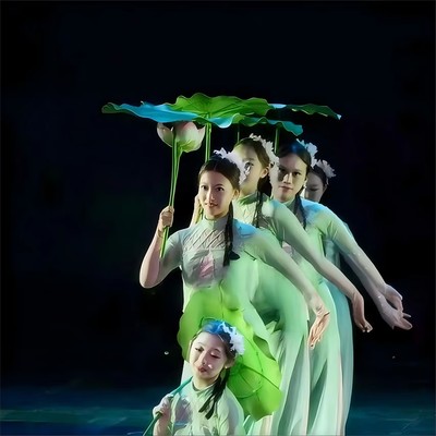 古典舞小荷叶舞蹈服演出服
