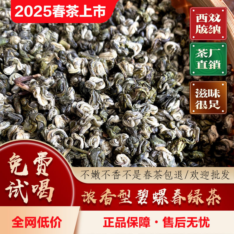 云南碧螺春2025年新茶特级浓香型 高山云雾云南绿茶茶叶500g散装
