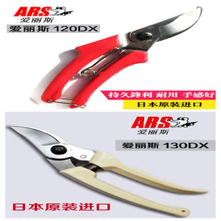 130DX修枝剪园林园艺工具剪刀果树绿化修枝剪 日本爱丽斯ARS120DX