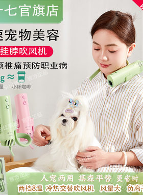 遛十七宠物美容吹风机拉毛机