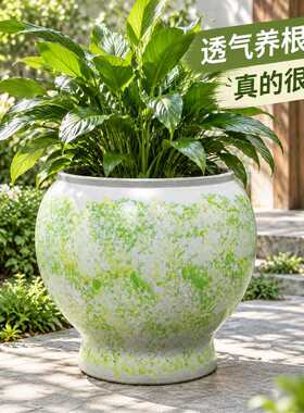 大口径绿植花盆粗陶透气养根