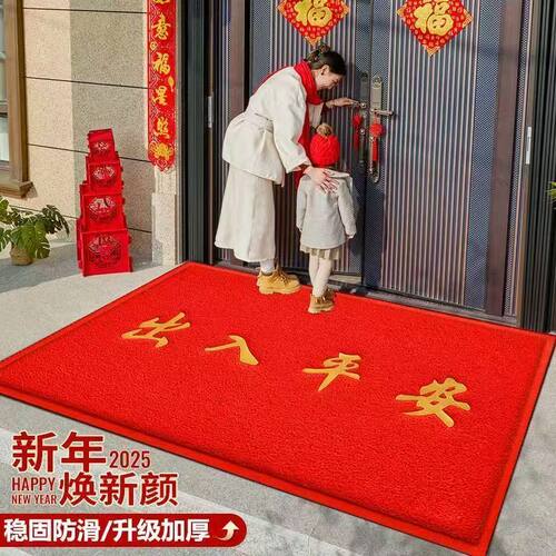 门口地垫家用入户门垫除尘进门垫