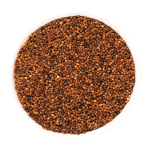 盐菟丝子中药饮片500克搭桑螵蛸配黄精枸杞淫羊藿五味子兔丝子f