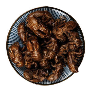 中药材蝉蜕蝉脱金蝉衣金蝉壳蝉皮蝉壳蝉知了皮知了壳可自磨粉