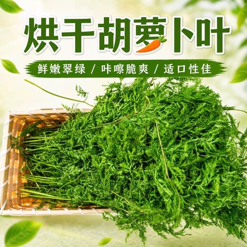 胡萝卜叶零食兔子龙猫豚鼠牧草
