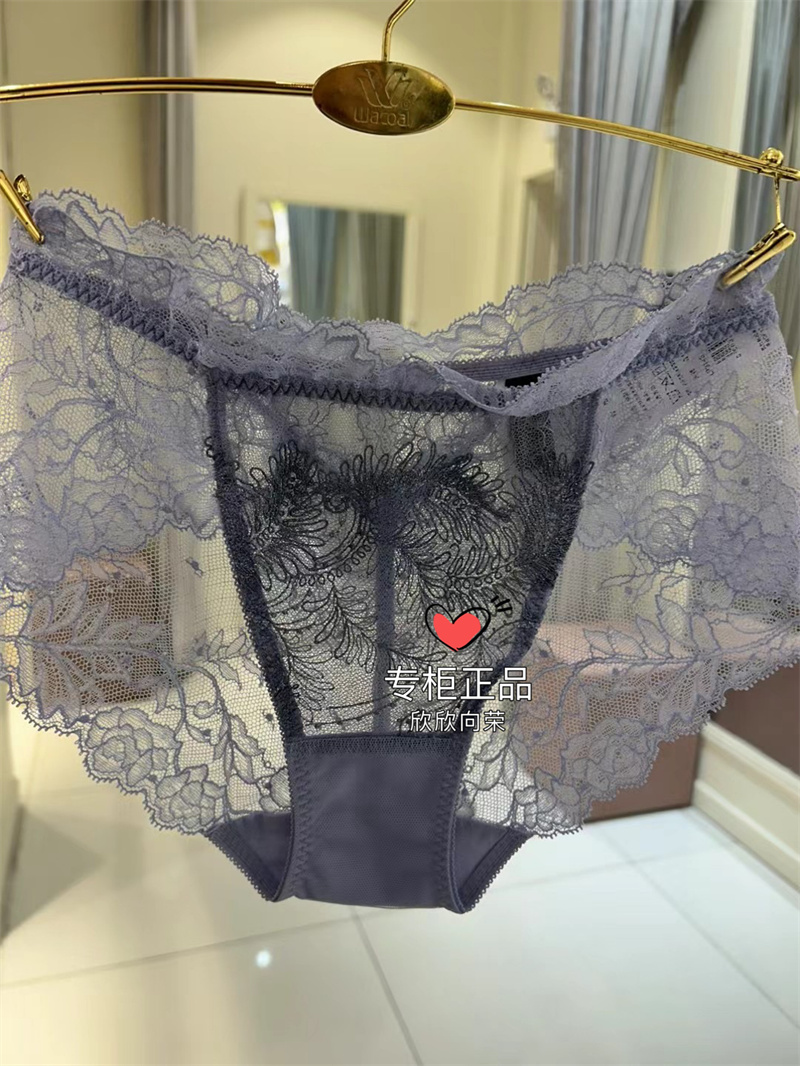 Salute三角蕾丝性感女内裤