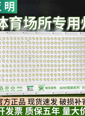 亚明室外大功率LED投光灯防水探照灯照明灯强光球场工地车间灯