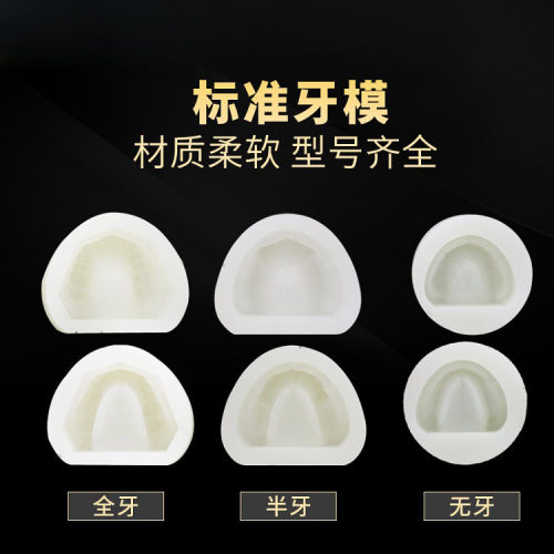 牙科有牙阴模 无牙阴模白色硅胶全口标准口腔制模取模型石膏模具