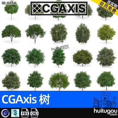 CGAXIS Trees-5[树]植物树木3D模型森林植株C4D素材MAX格式OBJ