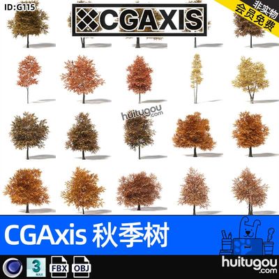 Autumn Trees[秋季树]秋天森林枯黄树木3D模型MAX植物C4D FBX OBJ