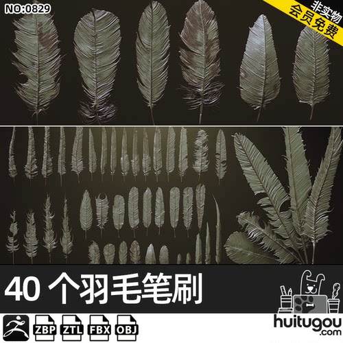 Zbrush羽毛IMM笔刷zbp画笔ZB雕刻建模ztl素材羽毛高模fbx模型obj