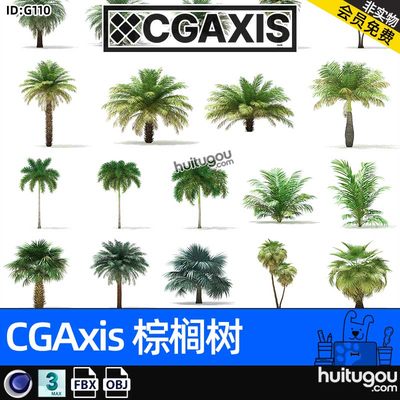 CGAXIS Palm Trees[棕榈树]热带植物棕榈树3D模型max素材C4D FBX