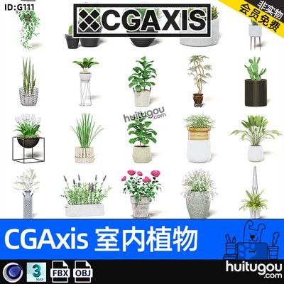 CGAxis Interior Plants-5[室内植物]装饰绿植仙人掌多肉盆栽模型