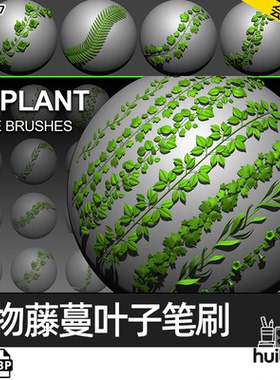 【0837】Zbrush植物藤蔓树叶子IMM曲线笔刷zbp画笔ZB枝叶雕刻建模