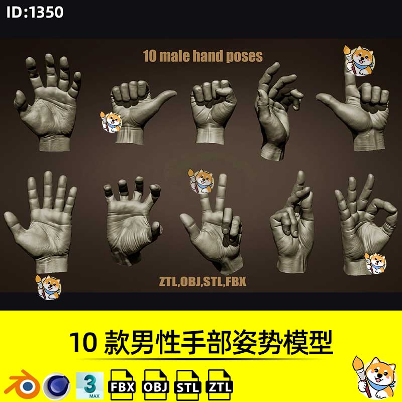 ZBrush模型10款男性手部姿势ZTL工程带OBJ/STL/FBX格式ZB雕刻素材图片
