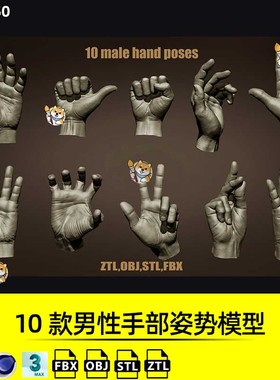 ZBrush模型10款男性手部姿势ZTL工程带OBJ/STL/FBX格式ZB雕刻素材