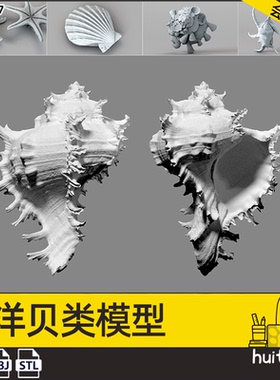 【5477】C4D贝壳海螺扇贝3D模型STL白模高模建模OBJ格式犀牛可用