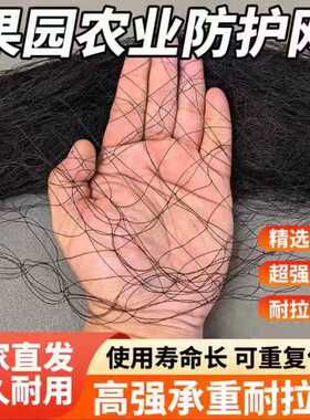 果园2.5指孔防鸟网尼龙网草莓葡萄大棚鱼塘黑色防护网