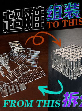 Dirty Dozen12金刚Lattice透明孔明锁10级超难迷题烧脑拆解Puzzle