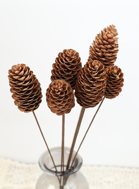 云南干花 家居软装DIY花材客厅摆件 圣诞节装饰 松塔棉花干花