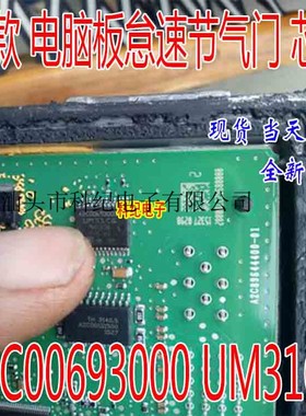 A2C00693000 UM31CG 新款捷达节气门怠速芯片IC芯片 24脚全新原装