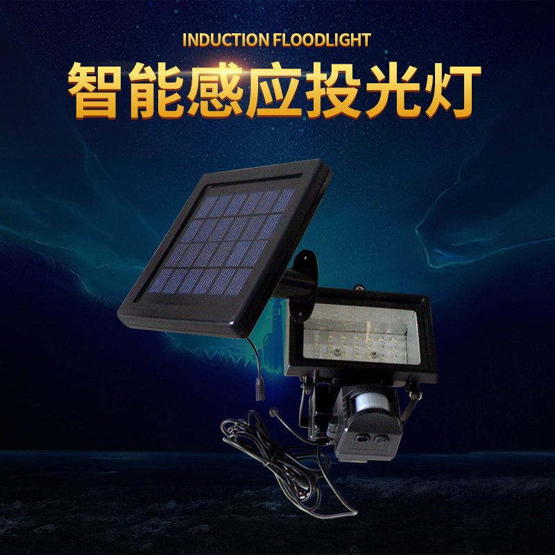 太阳能夜间人体自动感应灯庭院灯图片