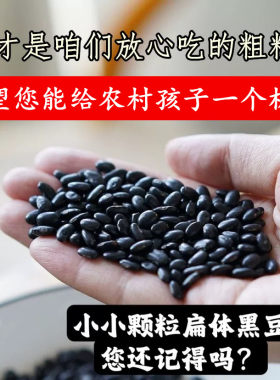 (老人坚持种的老品种黄心肾形小黑豆)山西老式小颗粒扁体黑豆