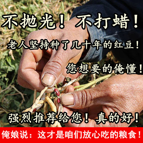 （老人坚持在种的老品种土红豆）农家自种老式红小豆新鲜未抛光