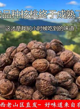 （未漂白未硫熏手工去皮）农家新核桃老品种丑核桃带壳老树核桃