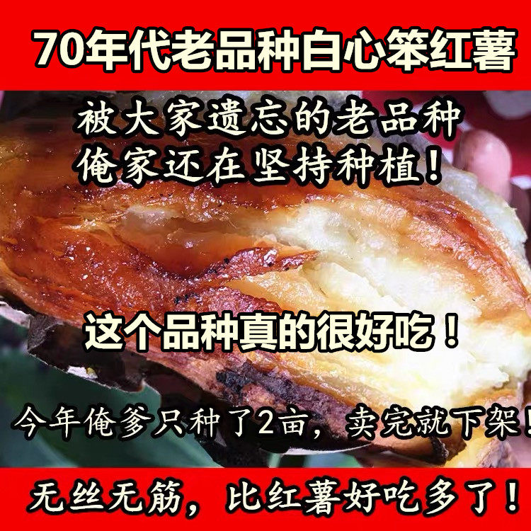 (好吃到让您思念家乡)70年代老品种红薯山西农家自种白心笨地瓜