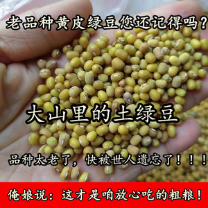（老人坚持种得老品种黄皮绿豆）农家老式土绿豆小颗粒黄壳绿豆