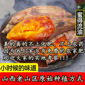 糖心流油蜜薯山西农家自种红薯新鲜老品种番薯无农药无化肥很甜糯