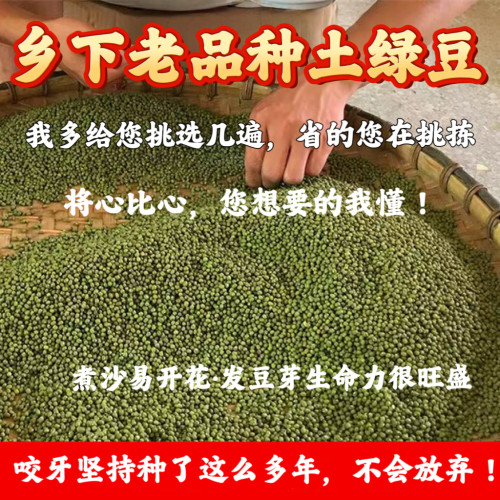 （老人坚持在种的老品种笨绿豆）农家自种小颗粒毛绿豆老式土绿豆