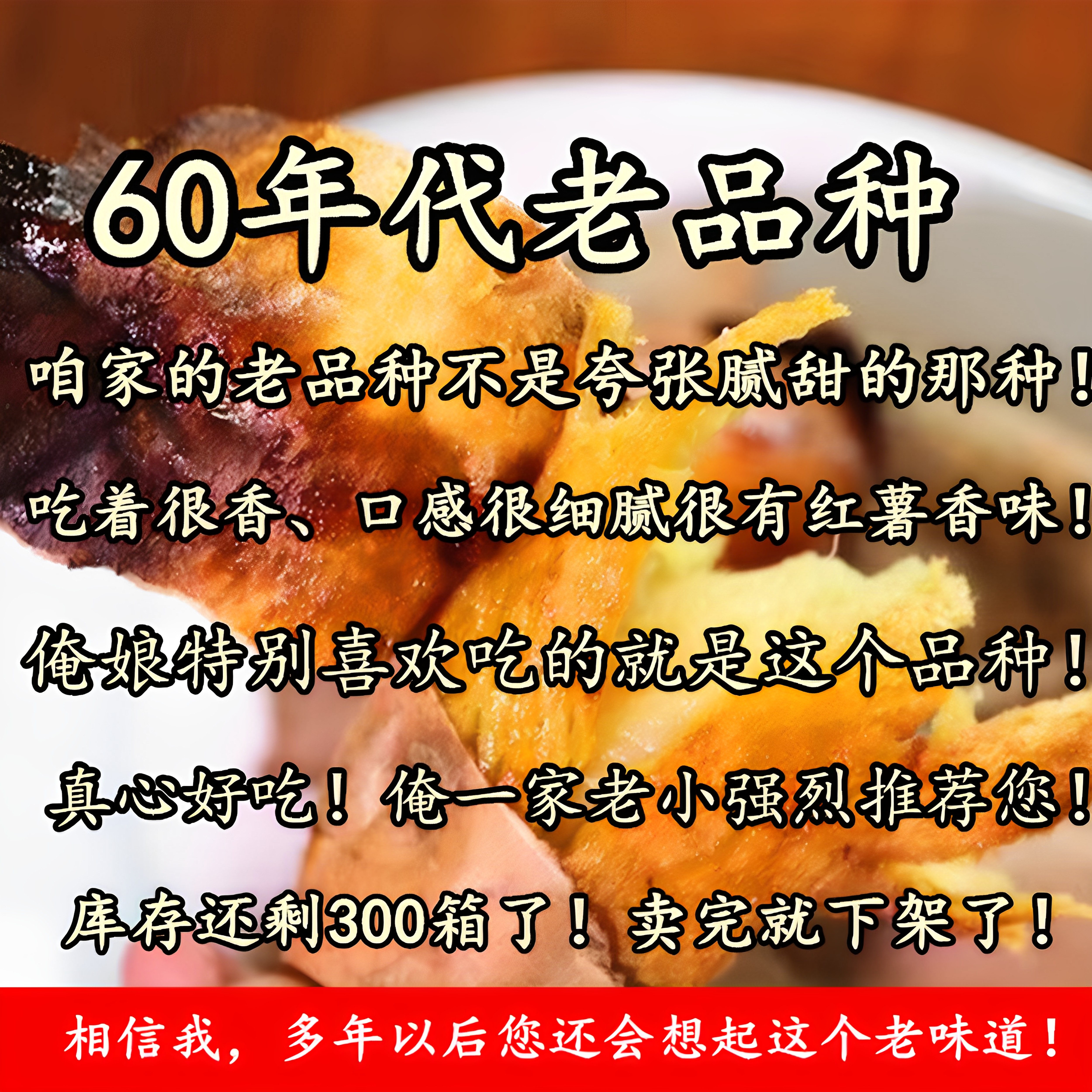 （父母记忆中的老味道）60年代老品种红薯山西农家自种老式笨地瓜