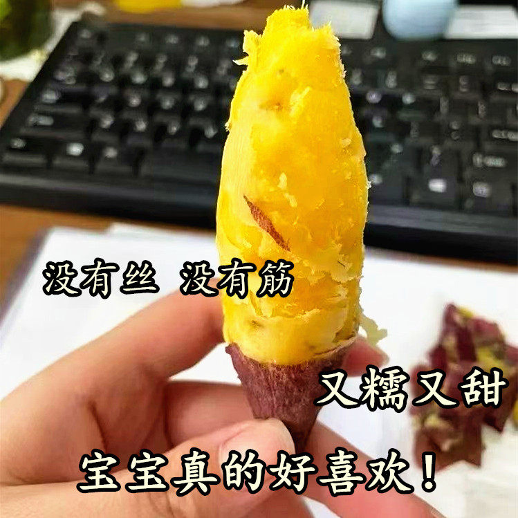 （给小宝宝吃您选这款）山西农家自种老品种红薯黄心番薯老式地瓜